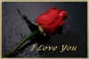 ILoveYou.jpg (16583 bytes)