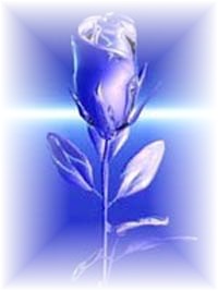 bluerose